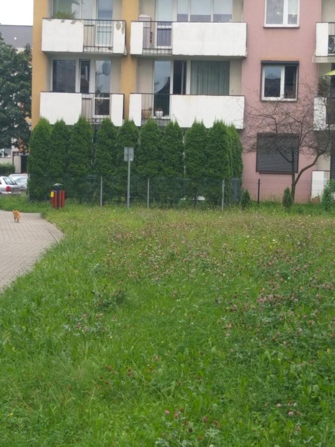 Apartament Z Ogrodem Tychy Extérieur photo
